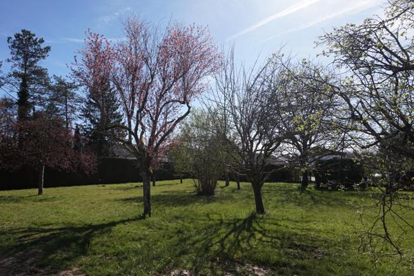 Terrain Plat, arboré et clôturé de 1050 m² (possibilié de diviser en deux parcelles déjà bornées).