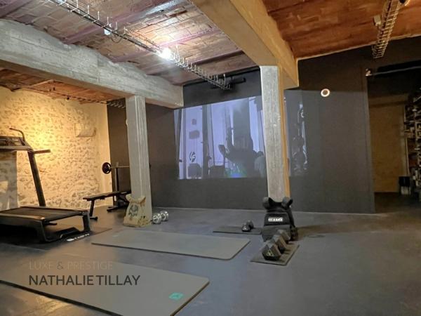 Orleans hyper centre, appartement loft à vendre, avec patio, terrasse  et salle de sport