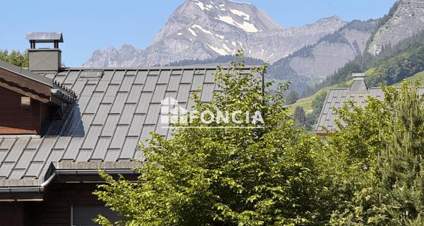À vendre Studio 24.58 m² - Praz-sur-arly 74120