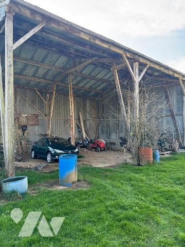 Maison rénovée avec grange et dépendances sur 8025m² à la campagne.