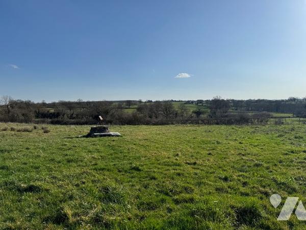 Maison rénovée avec grange et dépendances sur 8025m² à la campagne.