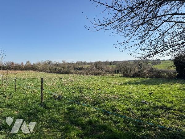 Maison rénovée avec grange et dépendances sur 8025m² à la campagne.