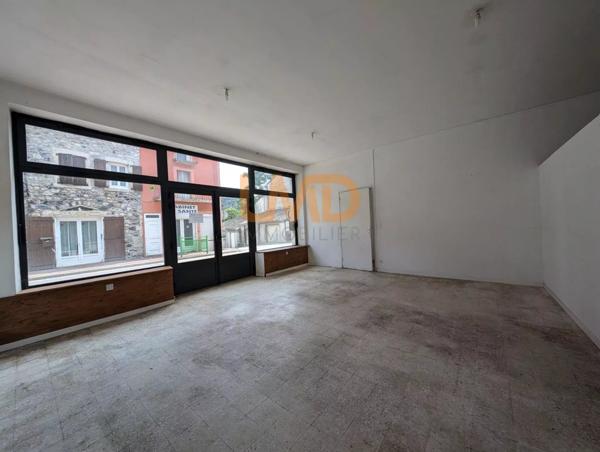 Maison de Village avec Grande Terrasse et Local Commercial