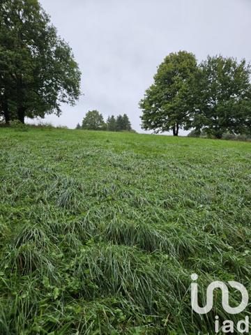Terrain à vendre 2 900 m² Villeneuve-sur-Yonne