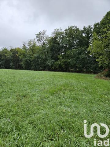 Terrain à vendre 2 900 m² Villeneuve-sur-Yonne