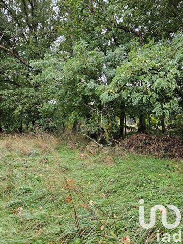 Terrain à vendre 2 900 m² Villeneuve-sur-Yonne