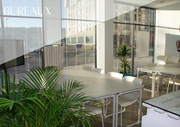 Bureaux 40m² – Angers