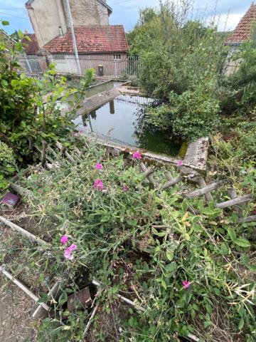 Ferme rénovée 180m2 LA CELLE DUNOISE (23)