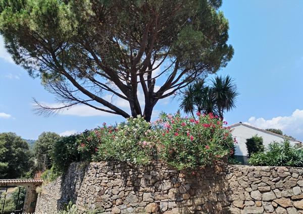 Saint-Martin-de-Valgalgues (30520) MAISON DE 140 m2 A SAINT-MARTIN-DE-VALGAGUES