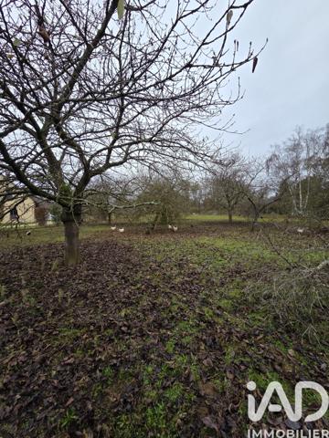 Terrain à vendre 614 m² Savigné-l'Évêque