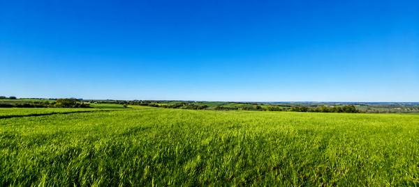 Terrain à bâtir au coeur d'un charmant hameau paisible de la commune de Vindelle Détails des diagnostics énergétiques