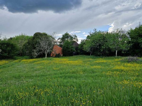 Maison ancienne - Le bugue Maison perigordine en pierres à renover avec dépendances et terrain d'env 5000m2