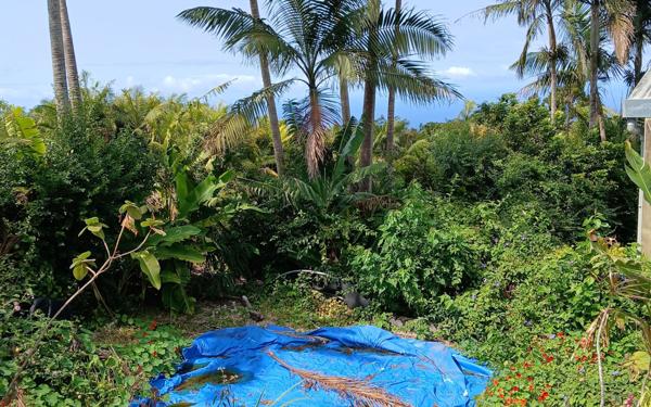 Maison à vendre    4 pièces • 82 m2 Petite-Île