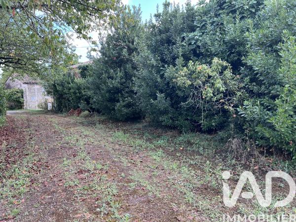 Maison à vendre 8 pièces 410 m² Celles-sur-Belle