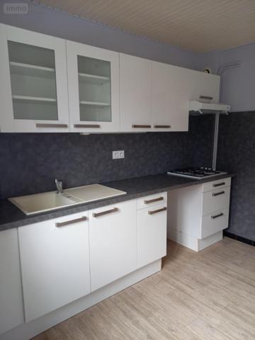 Appartement à louer à Vichy dans l'Allier (03200), ref : 03019-L112