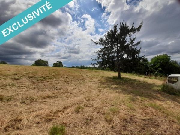 Terrain constructible 2917m2 à proximité de Navarrenx
