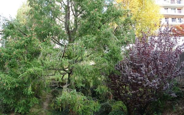 Appartement à vendre    2 pièces • 47,05 m2 Saint-Étienne