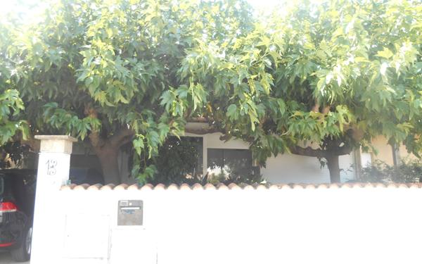 Maison à vendre    4 pièces •  Paulhan