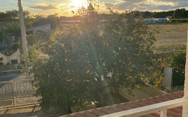 Maison à vendre    4 pièces •  Paulhan