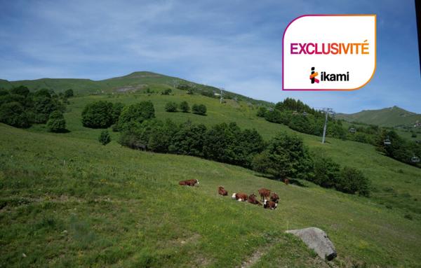 T2 au pied des pistes du Corbier, proche La Toussuire