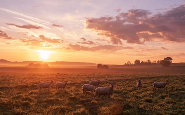 Maison à vendre    9 pièces •  Tourny