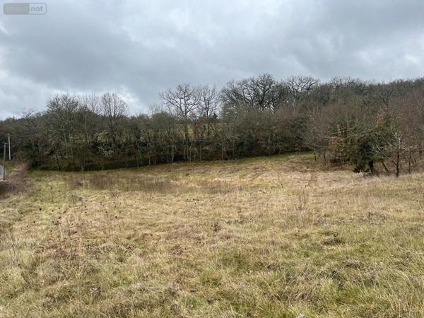 Terrain à Batir à vendre à Béduer dans le Lot (46100), ref : TER30