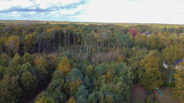 Maison Villefranche Sur Cher 5 pièces 102 m2