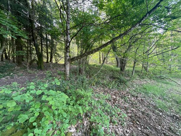 Maison atypique 156 M2 – 6 Pièces DUN LE PALESTEL 23800