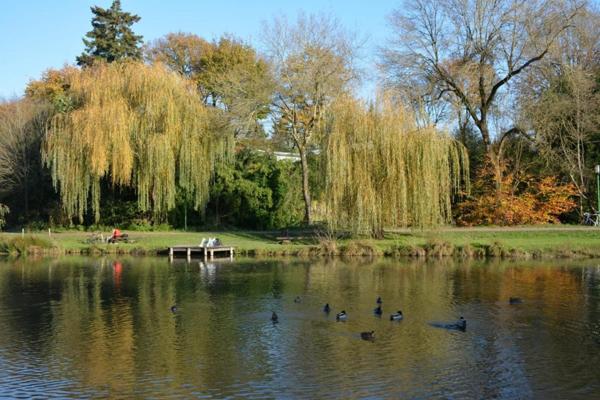 Maison familiale de 109 m² avec jardin au pied du Val de la Chézine