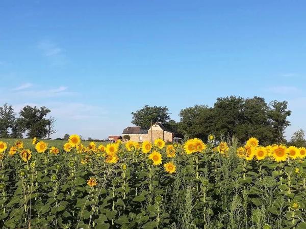 Maison en pierre avec grange et terrain – Sans voisins, proche Villefranche-de-Rouergue
