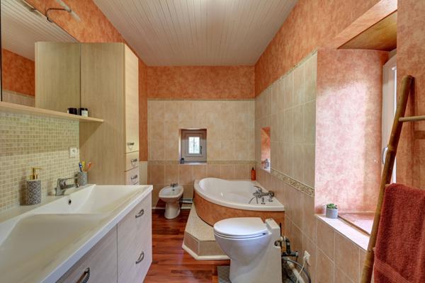 Laroque-Timbaut (47340) Magnifique moulin restauré avec un lac privé