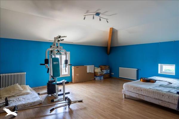 Maison à vendre |  Donzac |  5 pièces | 271 m²