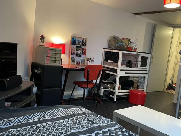 Location Studio 1 pièce Sélestat (67600) - CV