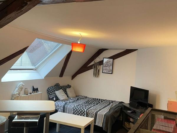 Location Studio 1 pièce Sélestat (67600) - CV