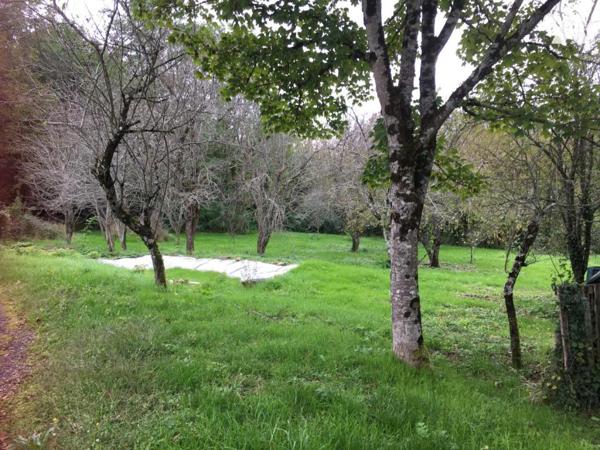 PAVLLON SUR SOUS-SOL AVEC BEAU TERRAIN