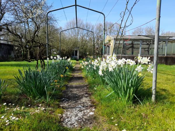 Maison de bourg MESANGER 3+1 chambres