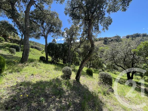 Maison à vendre  6 pièces - 217 m2 LE BOULOU - 66