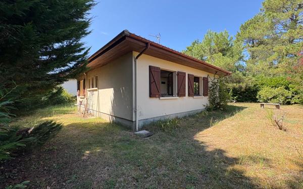 Maison à vendre    3 pièces •  Seignosse