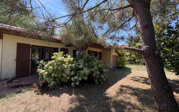 Maison à vendre    3 pièces •  Seignosse