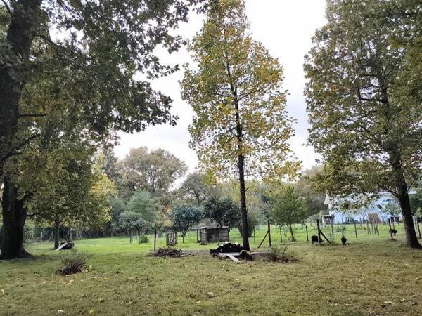 Maison à vendre |  Azur |  7 pièces | 219 m²