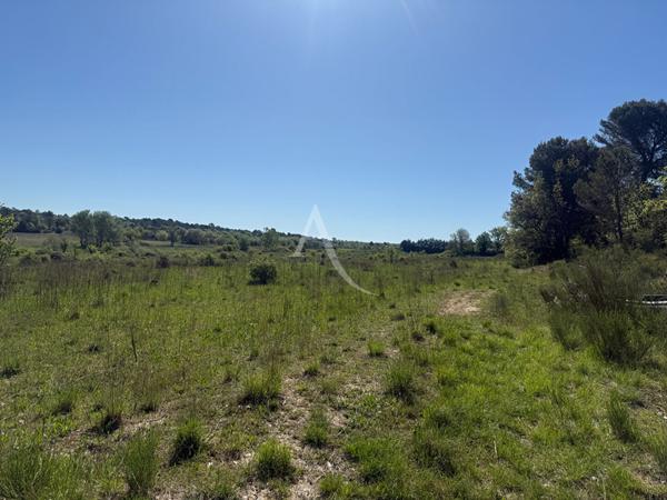 TERRAINS AGRICOLES PLATS ACCÈS DIRECT 42000M2