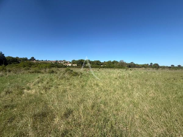 TERRAINS AGRICOLES PLATS ACCÈS DIRECT 42000M2