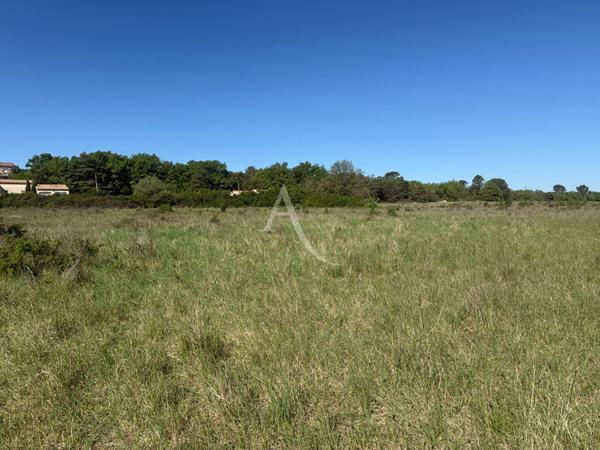 TERRAINS AGRICOLES PLATS ACCÈS DIRECT 42000M2