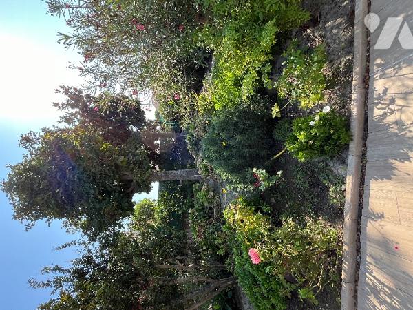 Beaucaire proche du centre ville, maison de 277 m² sur un terrain de 1235 m² clos et arboré.