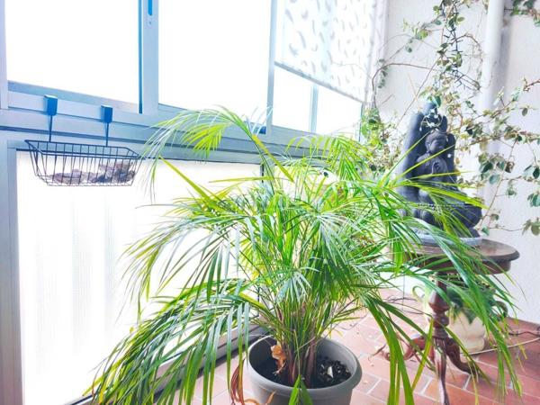 Appartement T3 de 94 m² Résidence sécurisée avec piscine