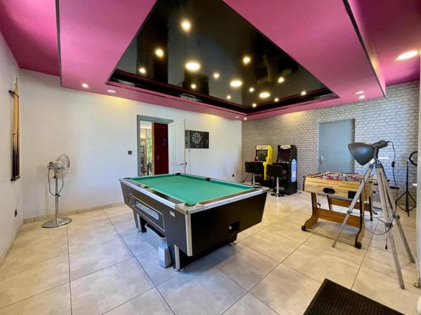 Aussillon 81200 – Elégante maison et appartement rénovés avec terrain et piscine