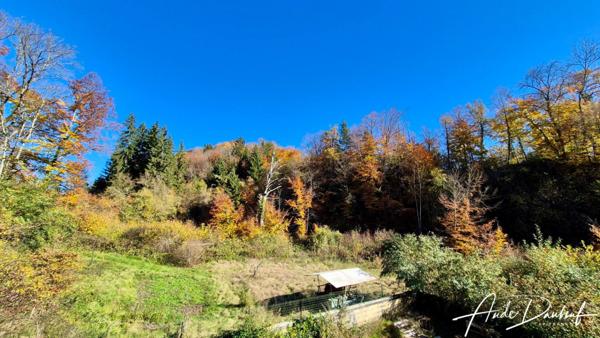 Le Moulin Verdoyant — Appartement T4 de 104 m2, avec jardin & piscine privatifs - Proméry