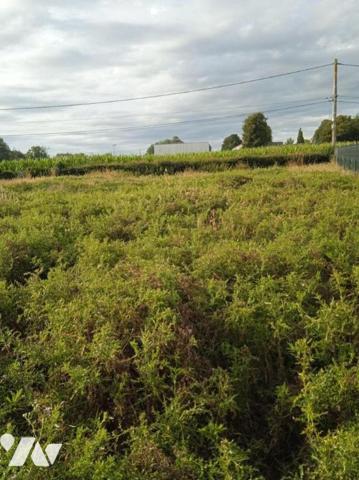 Vente Terrain à bâtir à Offranville