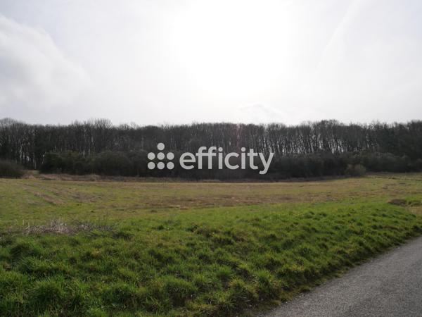 Terrain - 10469 m²