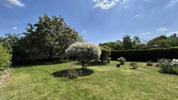 Achat - Terrain à bâtir Château-Gontier-sur-Mayenne 53200 4 pièces 1482 m 2 1482 m 2